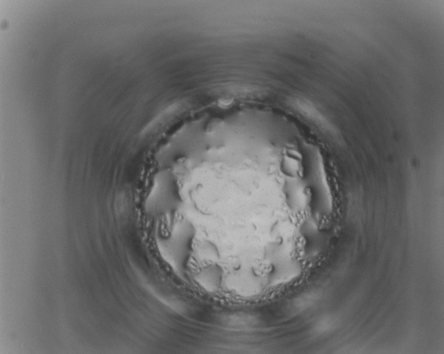 X0000062900165200601201920