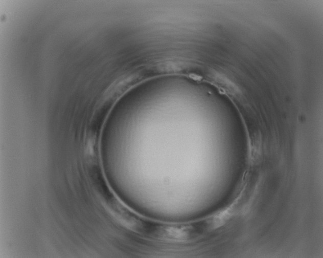 X0000062900166200601201920