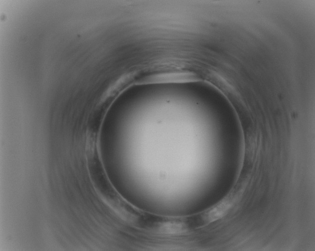 X0000062900168200601201920