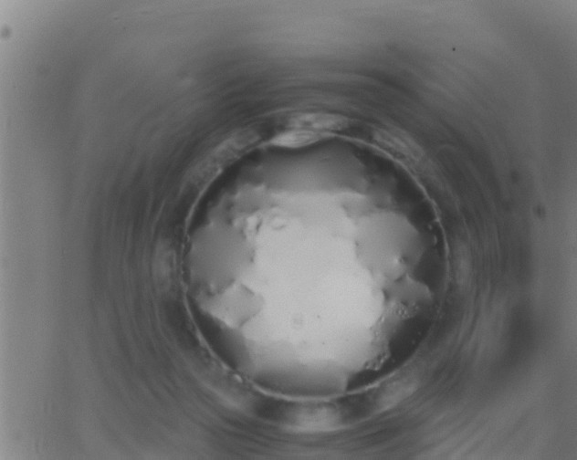 X0000062900169200601201920