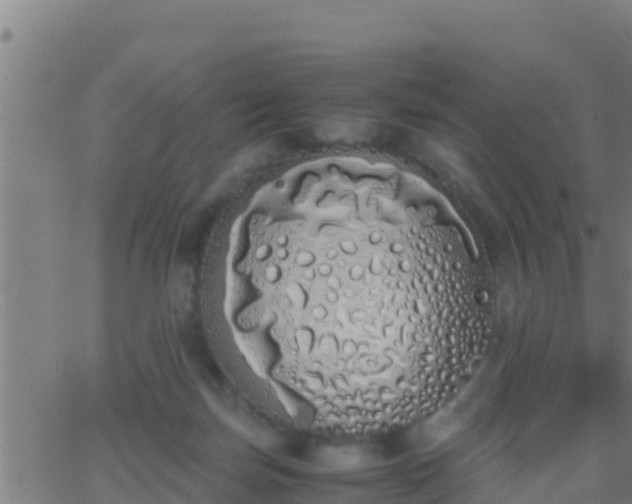 X0000062900171200601201920