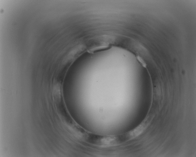 X0000062900172200601201920