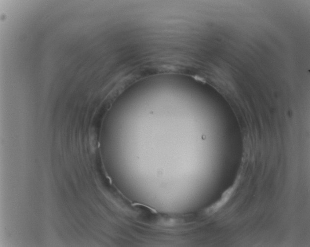 X0000062900174200601201920