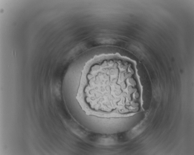 X0000062900175200601201920