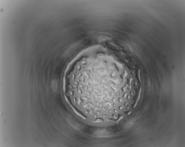 X0000062900177200601201920