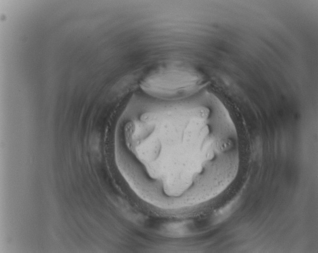 X0000062900178200601201920