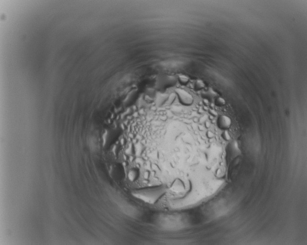 X0000062900181200601201920