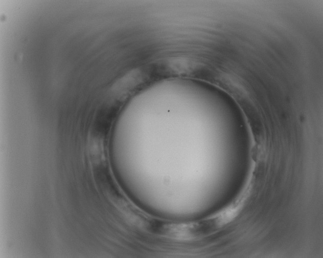 X0000062900182200601201920