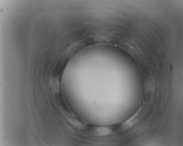 X0000062900183200601201920