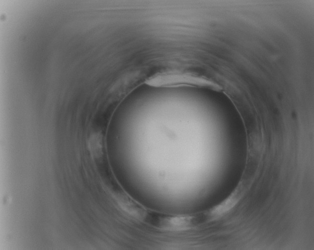 X0000062900184200601201920