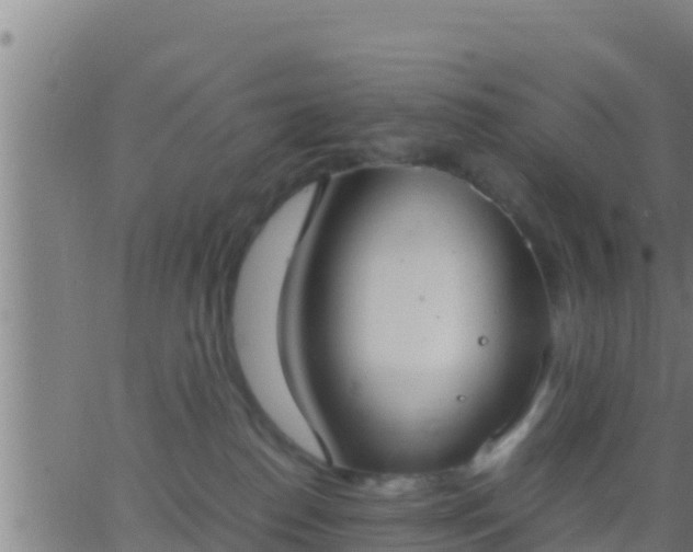 X0000062900186200601201920