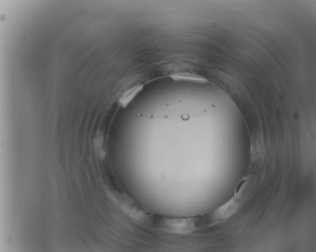 X0000062900187200601201920