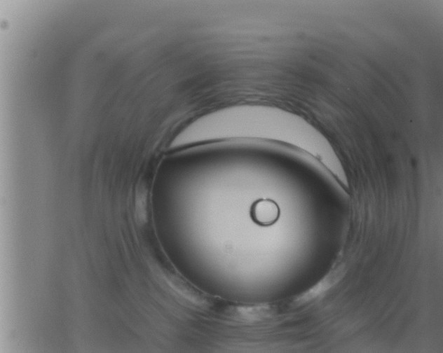 X0000062900188200601201920