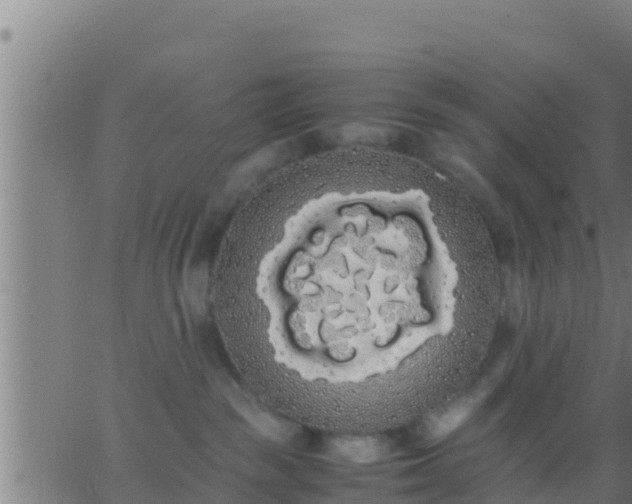 X0000062900189200601201920