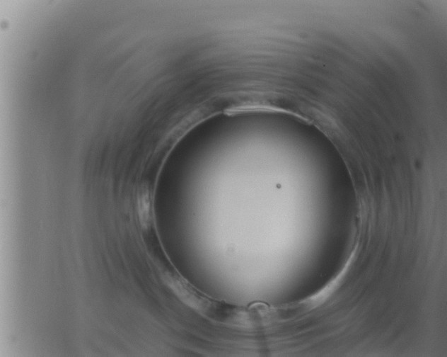 X0000062900190200601201920