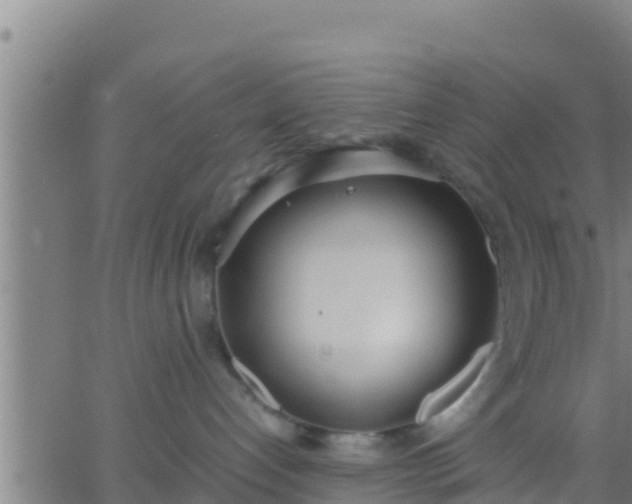 X0000062900192200601201920