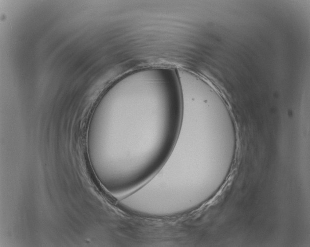 X0000062900193200601201920