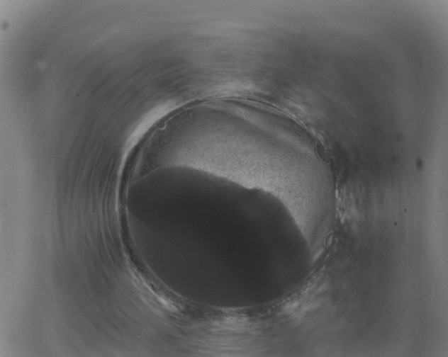 X0000062900196200601201919