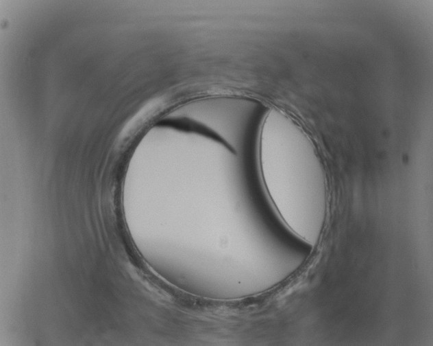 X0000062900197200601201919