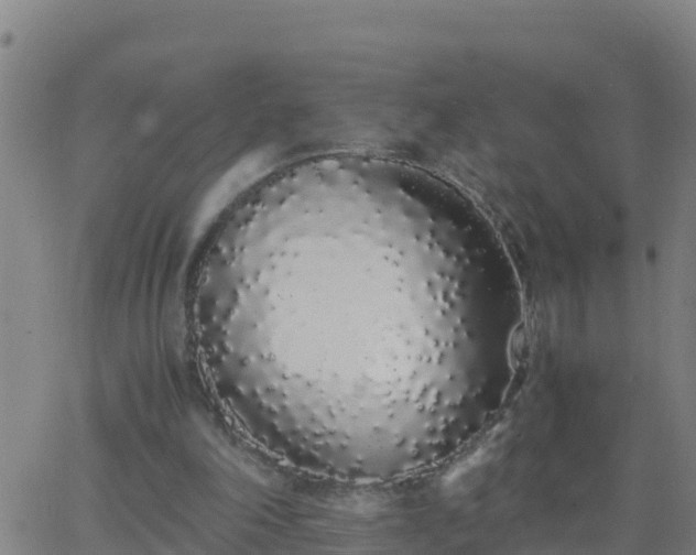 X0000062900198200601201919