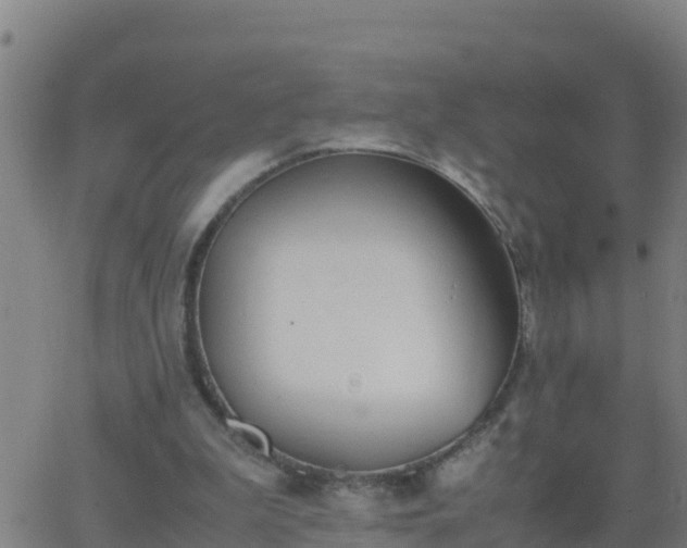 X0000062900199200601201919