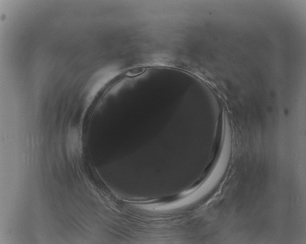 X0000062900200200601201919