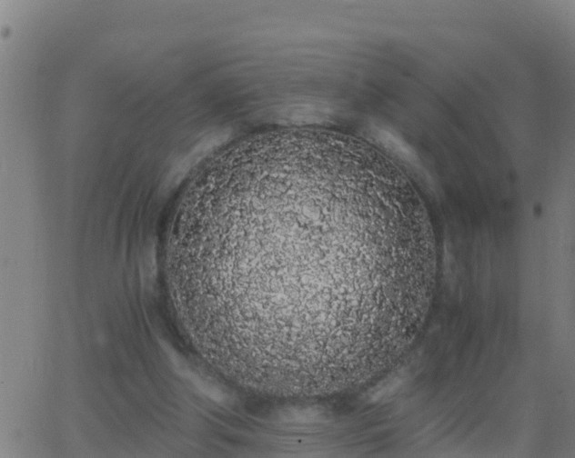 X0000062900202200601201919