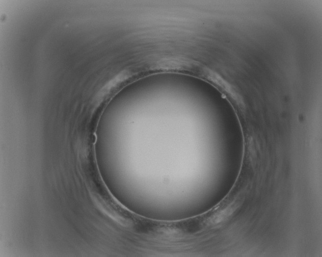 X0000062900203200601201919