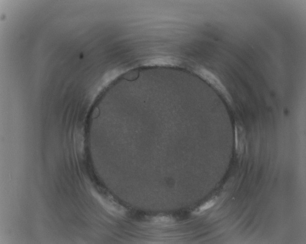 X0000062900204200601201919