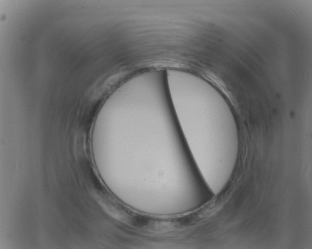 X0000062900205200601201919