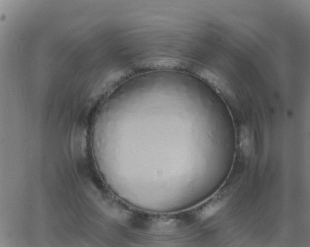 X0000062900206200601201919