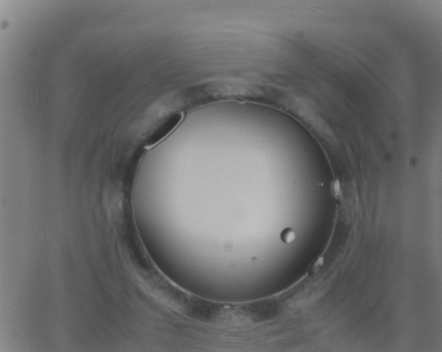 X0000062900207200601201919