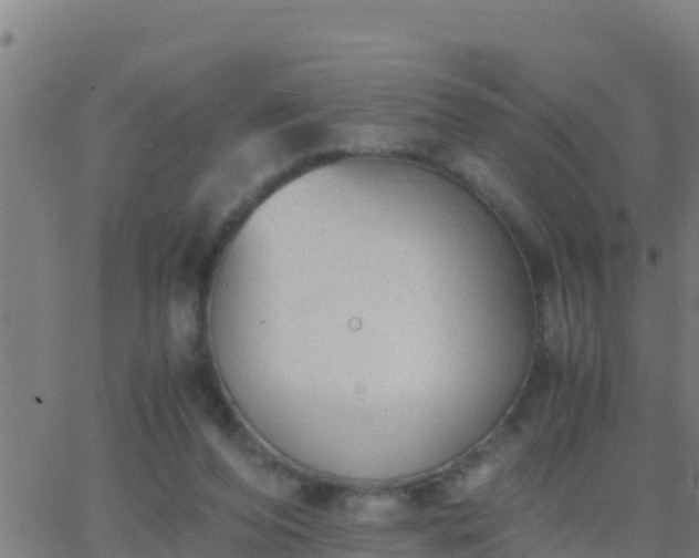 X0000062900208200601201919