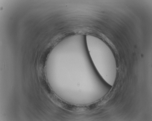 X0000062900209200601201919