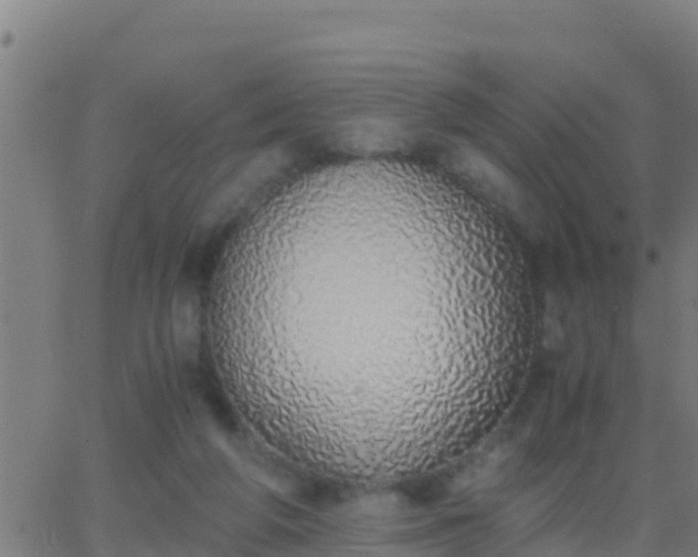 X0000062900210200601201919