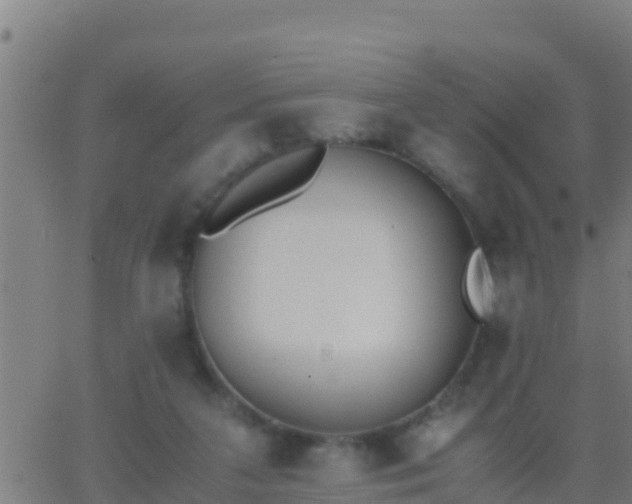 X0000062900211200601201919