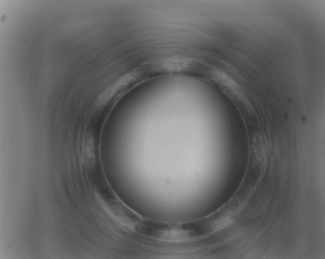 X0000062900212200601201919