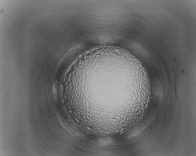 X0000062900214200601201919