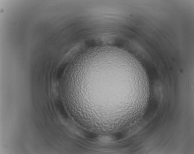 X0000062900218200601201919