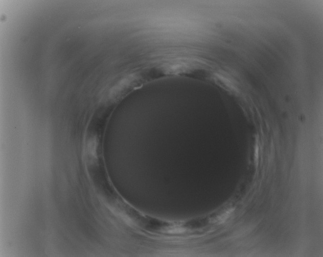 X0000062900219200601201919