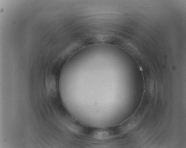 X0000062900220200601201919