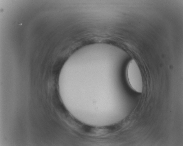 X0000062900221200601201919