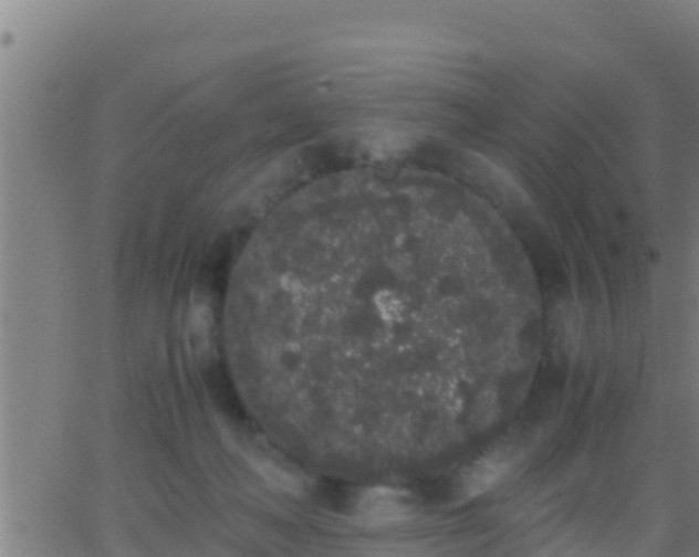 X0000062900222200601201919