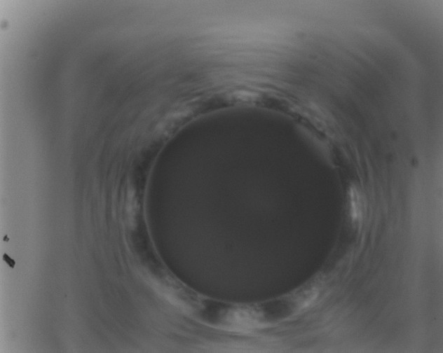 X0000062900223200601201919