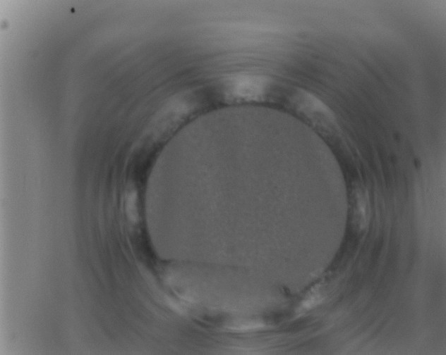 X0000062900224200601201919