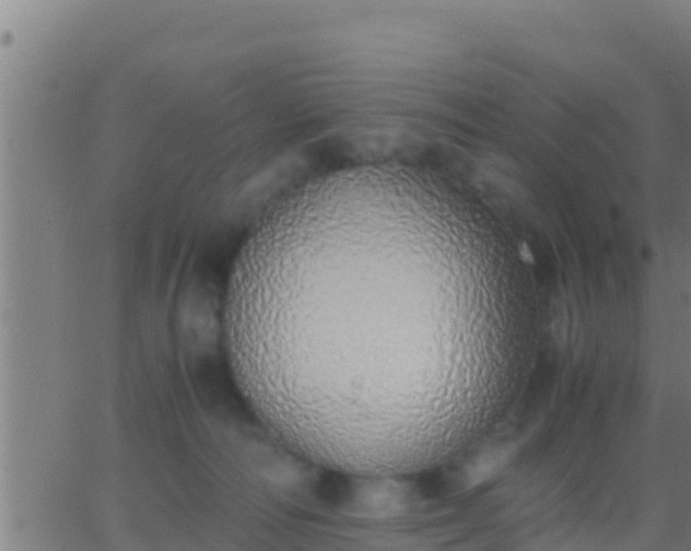 X0000062900226200601201919