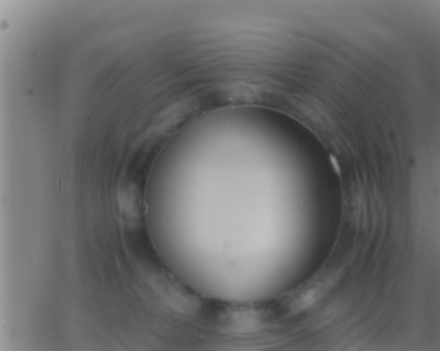 X0000062900228200601201919