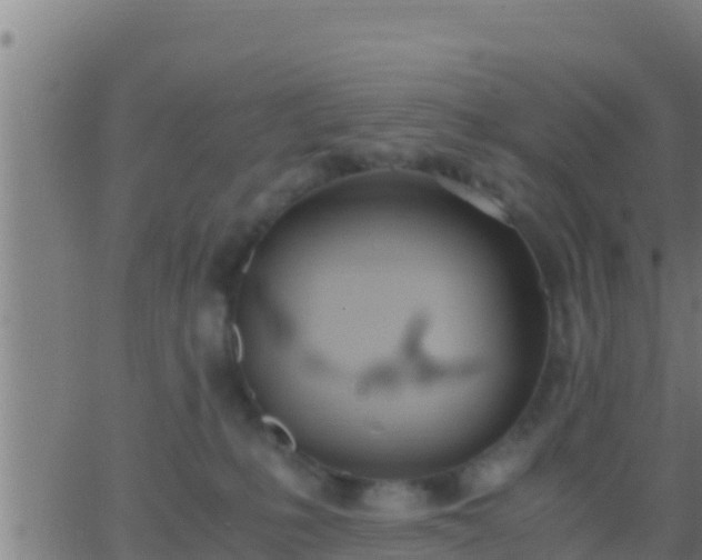 X0000062900231200601201919