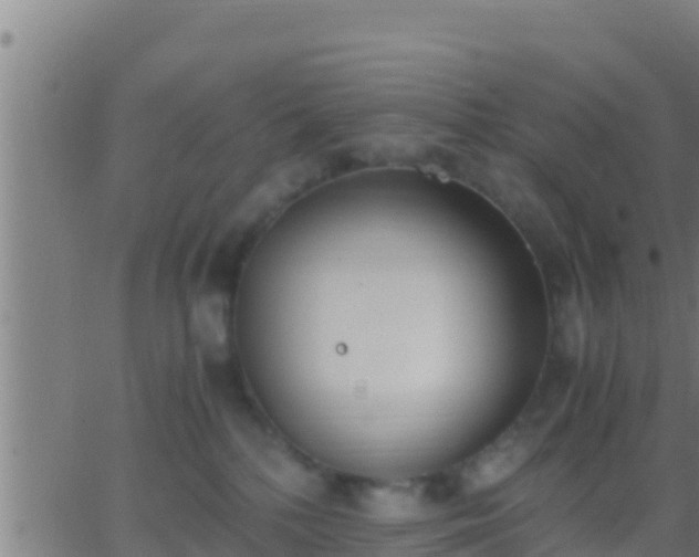 X0000062900232200601201919