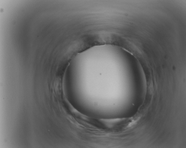 X0000062900233200601201919